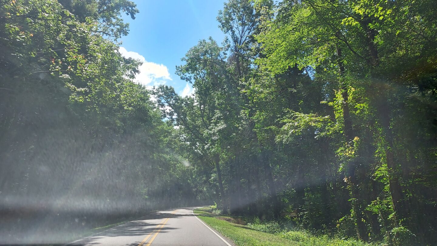 Hiking Lake Waccamaw On the Way to Surf City – Saturday, June 3rd